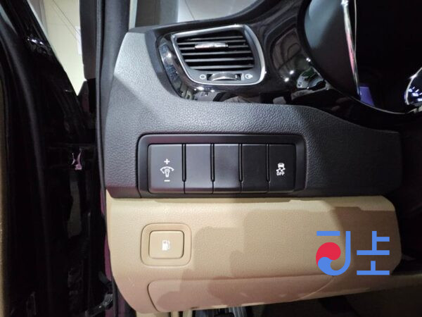 Kia Carnival black - KNAMC81ABKS574365 - Image 13
