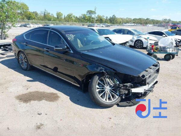 2016 Hyundai Genesis Black - KMHGM41DDGU173700 - Image 5