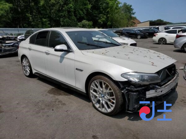 2014 BMW 5-Series 520d xDrive White — WBA5B9102ED568685 - Image 5