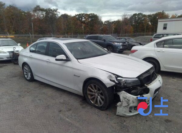 2014 BMW 5-Series 520d xDrive White — WBA5B9109ED569641 - Image 5
