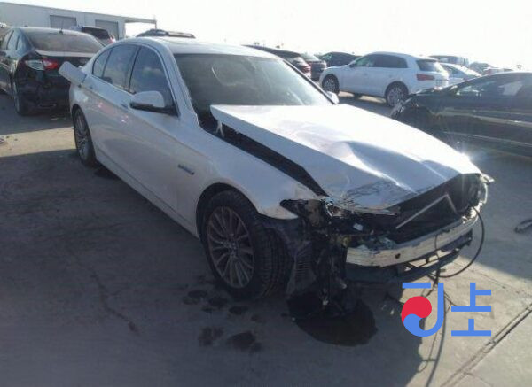 2014 BMW 5-Series 520d White — WBA5C3107ED877899 - Image 5