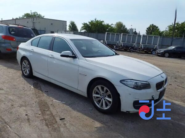 2016 BMW 5-Series 520d White — WBA5E5104GG200140 - Image 5