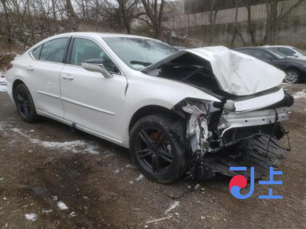 2021 Lexus ES300H White — JTHBA1C10M2004767 - Image 5