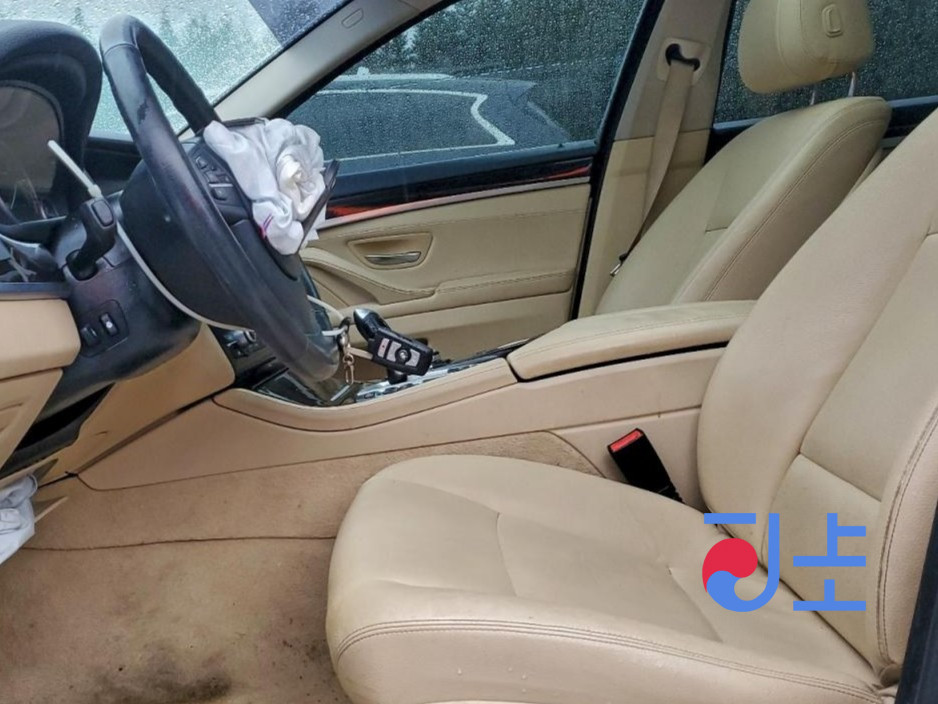 2014 BMW 5-Series 520d White — WBA5C3106ED766969 - Image 6