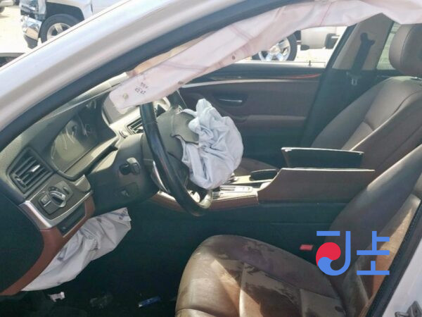 2016 BMW 5-Series 520d xDrive White — WBA5E7103GG564903 - Image 6