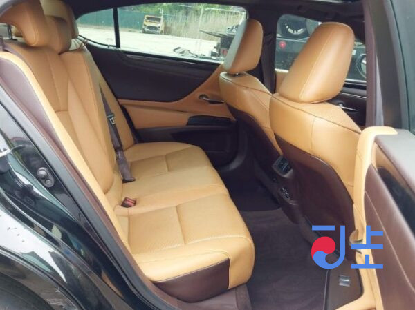 2021 Lexus ES300H Black — JTHBA1C12M2005239 - Image 7