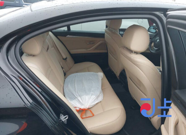 2016 BMW 5-Series 520d xDrive Black— WBA5E7109GG563545 - Image 7