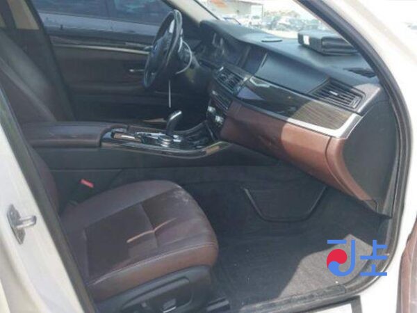 2016 BMW 520d White — WBA5E5101GG200399 - Image 6