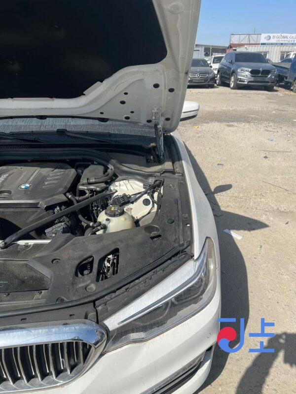2017 BMW 520d White — WBAJC3109JG995928 - Image 2