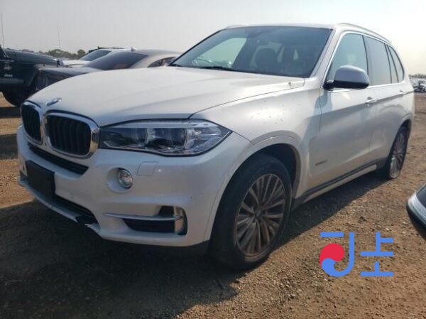 2016 BMW X5 xDrive30d WHITE — WBAKS4104G0R82406
