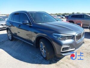 2019 BMW X5 30d xDrive Blue — WBACV6105LLK24445
