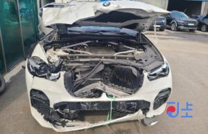 2020 BMW X5 xDrive30d WHITE — WBAJU8104M9F05935