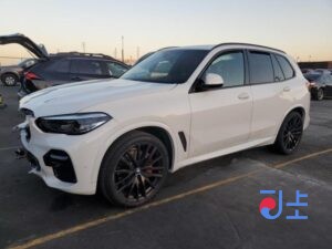 2022 BMW X5 xDrive30d WHITE — WBAJUB101N9N02957