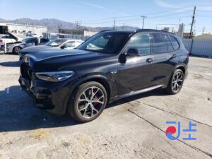 2022 BMW X5 xDrive30d BLACK — WBAJU8101N9N38759