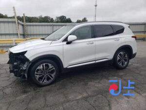 2019 Hyundai SantaFe White - KMHS581ABLU219303