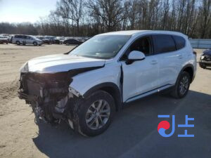 2019 Hyundai SantaFe White - KMHS581CDKU150369
