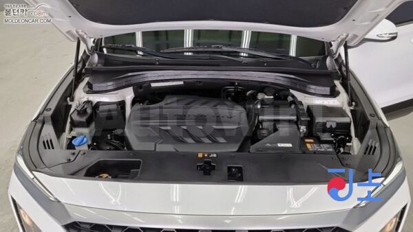 2019 Hyundai SantaFe TM 2.0  Diesel 2WD 5  Seats  Premium - KMHS281BBKU154074 - Image 6