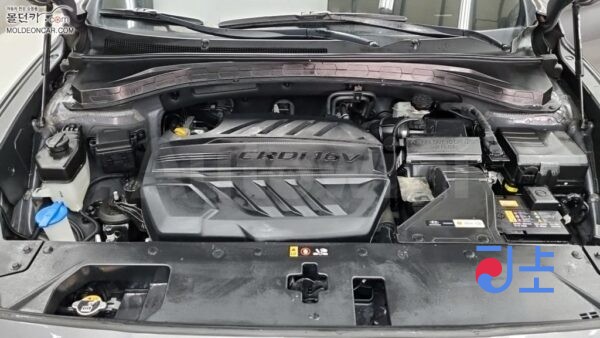 2020 Hyundai SantaFe TM 2.0  Diesel 2WD 5  Seats  Premium - KMHS281BBLU304004 - Image 6