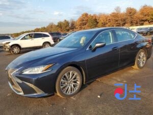 2019 Lexus ES300H Blue — JTHB21B17K2062449