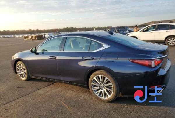 2019 Lexus ES300H Blue — JTHB21B17K2062449 - Image 2