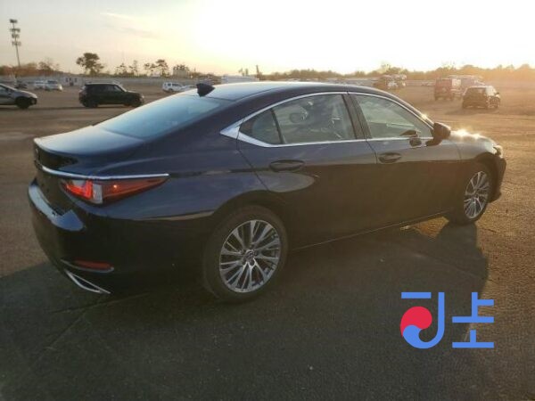 2019 Lexus ES300H Blue — JTHB21B17K2062449 - Image 3