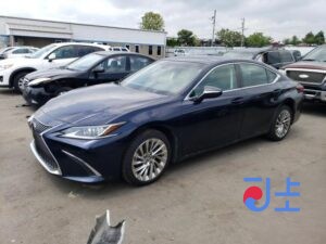2019 Lexus ES300H Blue — JTHB21B18K2052688