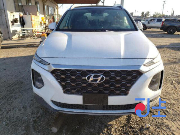 2019 Hyundai SantaFe TM 2.0  Diesel White - KMHS281BBLU191621 - Image 6
