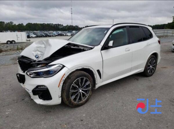 BMW X5 30DX 2019 WHITE — WBACV6103KLK19257