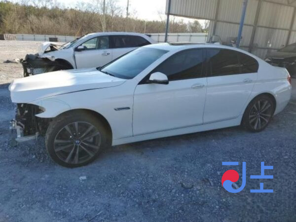 2016 BMW 5-Series 520d xDrive White — WBA5E7101GG565998