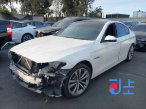 2014 BMW 5-Series 520d xDrive White — WBA5E7108FGK09417