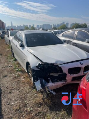 2014 BMW 5-Series 520d White — WBA5C3104ED879061