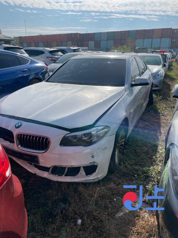 2014 BMW 5-Series 520d White — WBA5C3104ED879061 - Image 5